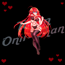 Load image into Gallery viewer, High School DxD