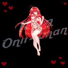 Load image into Gallery viewer, High School DxD